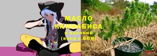 метадон Горнозаводск