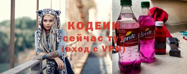 гашик Гусь-Хрустальный